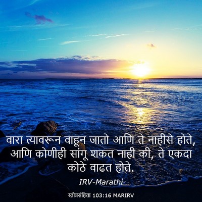 Picture 03 - स्तोत्रसंहिता 103:16 MARIRV - वारा त्यावरून - Bible Verse Picture