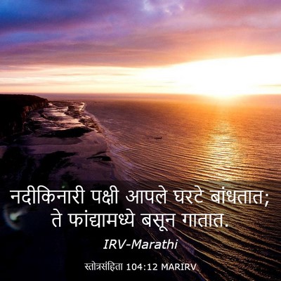 Picture 03 - स्तोत्रसंहिता 104:12 MARIRV - नदीकिनारी पक्षी - Bible Verse Picture