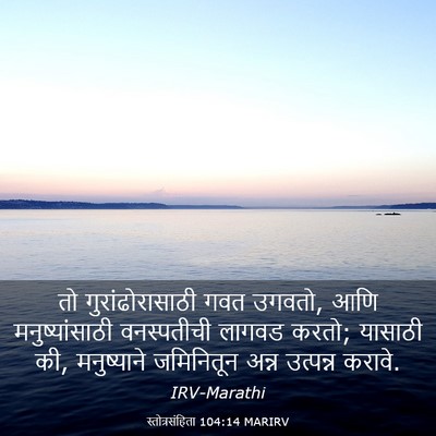 Picture 03 - स्तोत्रसंहिता 104:14 MARIRV - तो गुरांढोरासाठी - Bible Verse Picture