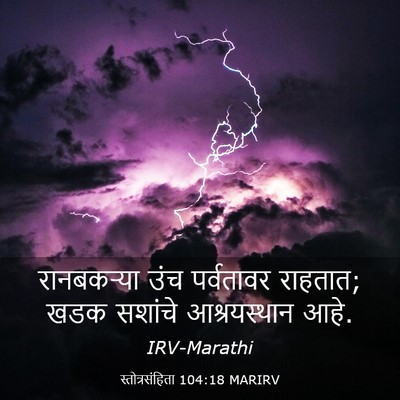 Picture 03 - स्तोत्रसंहिता 104:18 MARIRV - रानबकऱ्या उंच - Bible Verse Picture