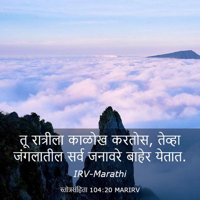 Picture 03 - स्तोत्रसंहिता 104:20 MARIRV - तू रात्रीला काळोख - Bible Verse Picture