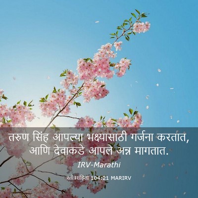 Picture 03 - स्तोत्रसंहिता 104:21 MARIRV - तरुण सिंह आपल्या - Bible Verse Picture