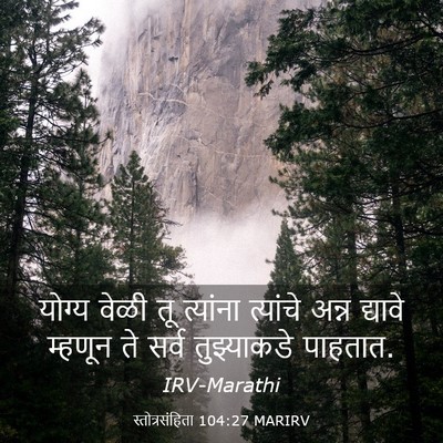 Picture 03 - स्तोत्रसंहिता 104:27 MARIRV - योग्य वेळी तू - Bible Verse Picture