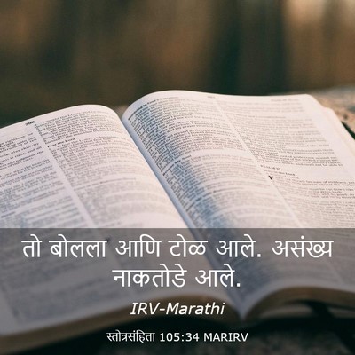 Picture 03 - स्तोत्रसंहिता 105:34 MARIRV - तो बोलला आणि टोळ - Bible Verse Picture
