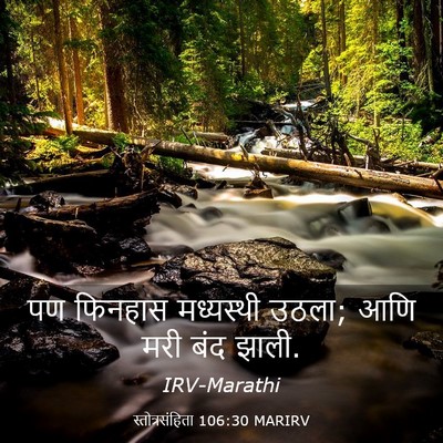 Picture 03 - स्तोत्रसंहिता 106:30 MARIRV - पण फिनहास - Bible Verse Picture