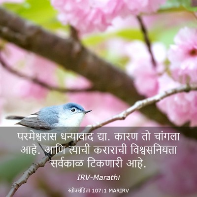Picture 03 - स्तोत्रसंहिता 107:1 MARIRV - परमेश्वरास - Bible Verse Picture
