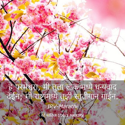 Picture 03 - स्तोत्रसंहिता 108:3 MARIRV - हे परमेश्वरा, मी - Bible Verse Picture