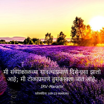Picture 03 - स्तोत्रसंहिता 109:23 MARIRV - मी संध्याकाळच्या - Bible Verse Picture