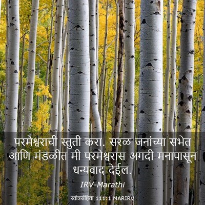 Picture 03 - स्तोत्रसंहिता 111:1 MARIRV - परमेश्वराची - Bible Verse Picture