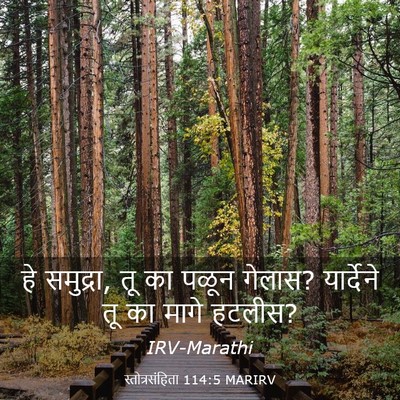 Picture 03 - स्तोत्रसंहिता 114:5 MARIRV - हे समुद्रा, तू का - Bible Verse Picture