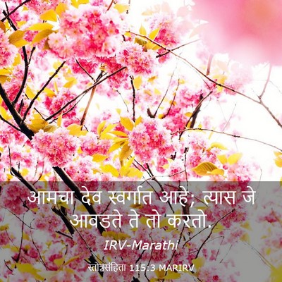Picture 03 - स्तोत्रसंहिता 115:3 MARIRV - आमचा देव स्वर्गात - Bible Verse Picture