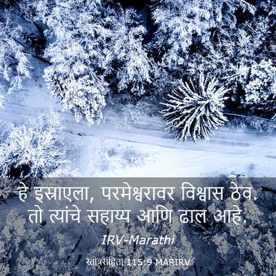 Picture 03 - स्तोत्रसंहिता 115:9 MARIRV - हे इस्राएला, - Bible Verse Picture