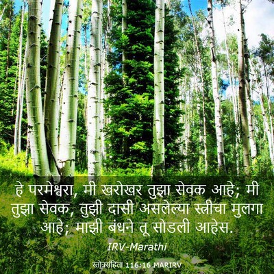 Picture 03 - स्तोत्रसंहिता 116:16 MARIRV - हे परमेश्वरा, मी - Bible Verse Picture