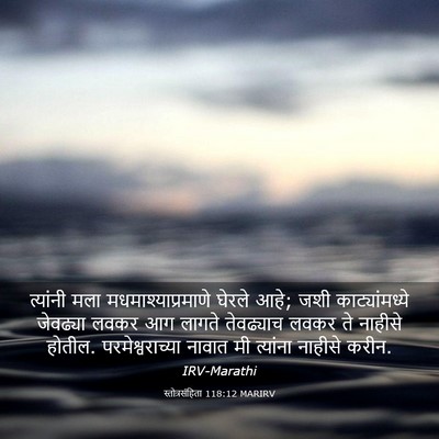 Picture 03 - स्तोत्रसंहिता 118:12 MARIRV - त्यांनी मला - Bible Verse Picture