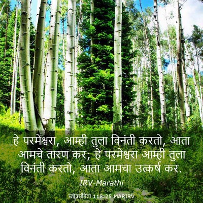 Picture 03 - स्तोत्रसंहिता 118:25 MARIRV - हे परमेश्वरा, - Bible Verse Picture