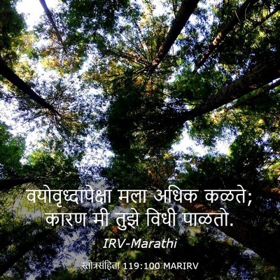 Picture 03 - स्तोत्रसंहिता 119:100 MARIRV - वयोवृध्दापेक्षा - Bible Verse Picture