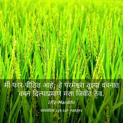 Picture 03 - स्तोत्रसंहिता 119:107 MARIRV - मी फार पीडित आहे; - Bible Verse Picture