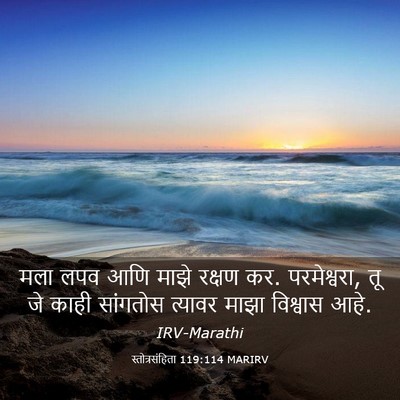 Picture 03 - स्तोत्रसंहिता 119:114 MARIRV - मला लपव आणि माझे - Bible Verse Picture