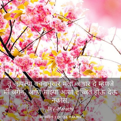 Picture 03 - स्तोत्रसंहिता 119:116 MARIRV - तू आपल्या - Bible Verse Picture