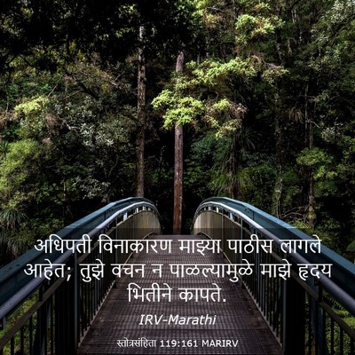 Picture 03 - स्तोत्रसंहिता 119:161 MARIRV - अधिपती विनाकारण - Bible Verse Picture