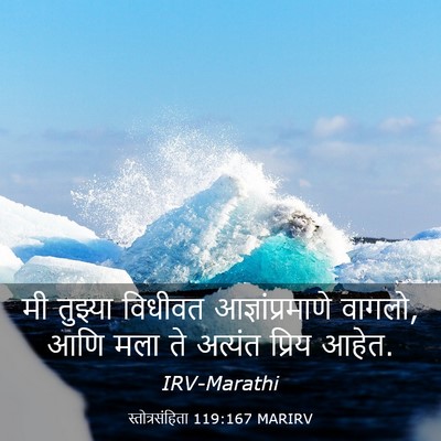 Picture 03 - स्तोत्रसंहिता 119:167 MARIRV - मी तुझ्या विधीवत - Bible Verse Picture