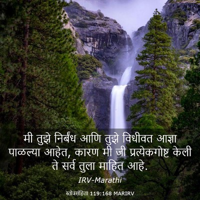 Picture 03 - स्तोत्रसंहिता 119:168 MARIRV - मी तुझे निर्बंध - Bible Verse Picture