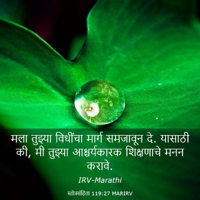 Picture 03 - स्तोत्रसंहिता 119:27 MARIRV - मला तुझ्या - Bible Verse Picture