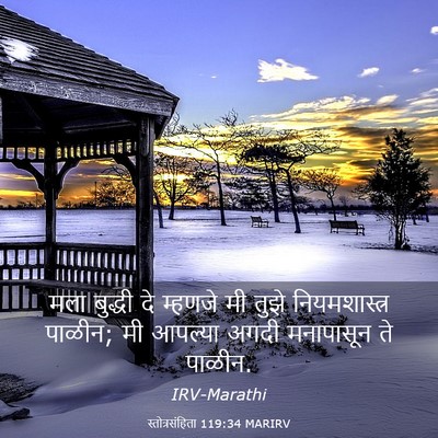 Picture 03 - स्तोत्रसंहिता 119:34 MARIRV - मला बुद्धी दे - Bible Verse Picture