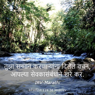 Picture 03 - स्तोत्रसंहिता 119:38 MARIRV - तुझा सन्मान - Bible Verse Picture