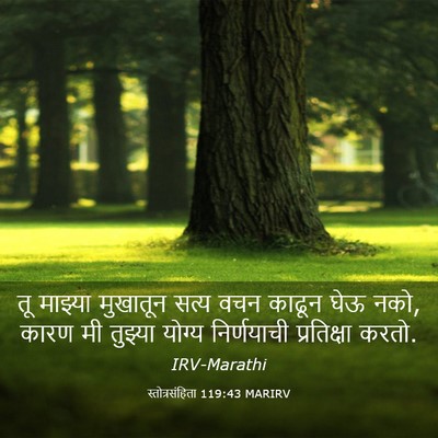Picture 03 - स्तोत्रसंहिता 119:43 MARIRV - तू माझ्या मुखातून - Bible Verse Picture