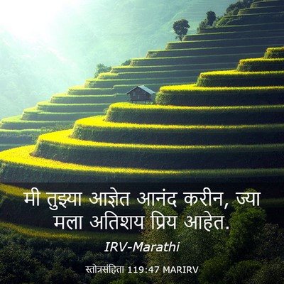 Picture 03 - स्तोत्रसंहिता 119:47 MARIRV - मी तुझ्या आज्ञेत - Bible Verse Picture