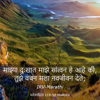 Picture 03 - स्तोत्रसंहिता 119:50 MARIRV - माझ्या दुःखात - Bible Verse Picture