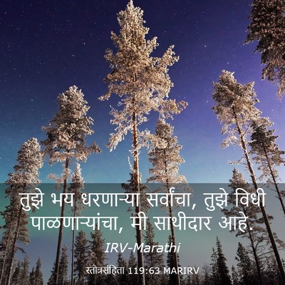 Picture 03 - स्तोत्रसंहिता 119:63 MARIRV - तुझे भय धरणाऱ्या - Bible Verse Picture