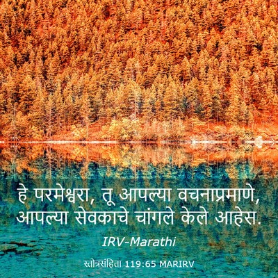 Picture 03 - स्तोत्रसंहिता 119:65 MARIRV - हे परमेश्वरा, तू - Bible Verse Picture