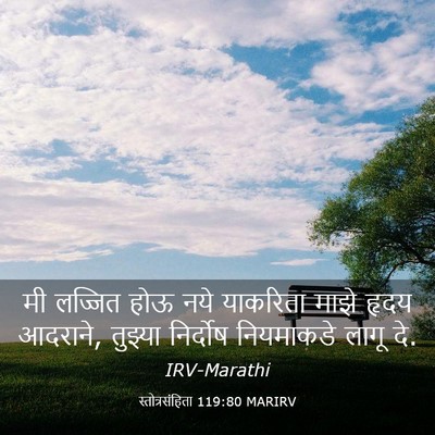 Picture 03 - स्तोत्रसंहिता 119:80 MARIRV - मी लज्जित होऊ नये - Bible Verse Picture