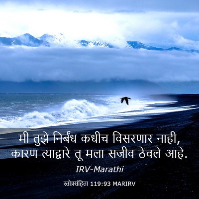 Picture 03 - स्तोत्रसंहिता 119:93 MARIRV - मी तुझे निर्बंध - Bible Verse Picture