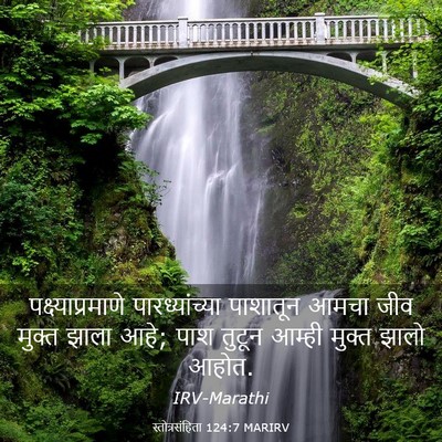 Picture 03 - स्तोत्रसंहिता 124:7 MARIRV - पक्ष्याप्रमाणे - Bible Verse Picture