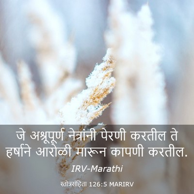 Picture 03 - स्तोत्रसंहिता 126:5 MARIRV - जे अश्रूपूर्ण - Bible Verse Picture