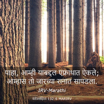 Picture 03 - स्तोत्रसंहिता 132:6 MARIRV - पाहा, आम्ही - Bible Verse Picture