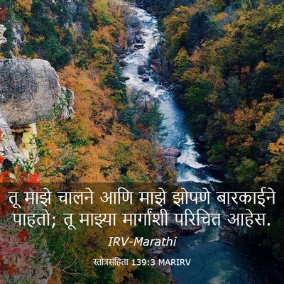 Picture 03 - स्तोत्रसंहिता 139:3 MARIRV - तू माझे चालने आणि - Bible Verse Picture