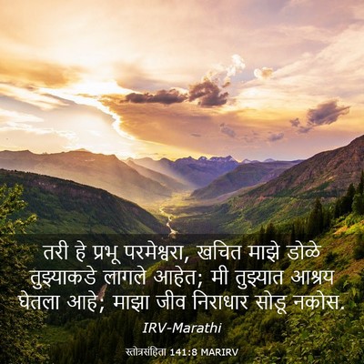 Picture 03 - स्तोत्रसंहिता 141:8 MARIRV - तरी हे प्रभू - Bible Verse Picture