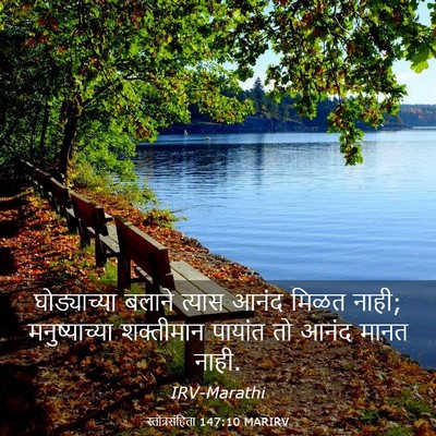 Picture 03 - स्तोत्रसंहिता 147:10 MARIRV - घोड्याच्या बलाने - Bible Verse Picture
