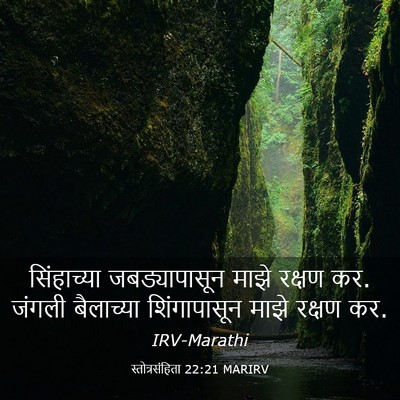 Picture 03 - स्तोत्रसंहिता 22:21 MARIRV - सिंहाच्या - Bible Verse Picture