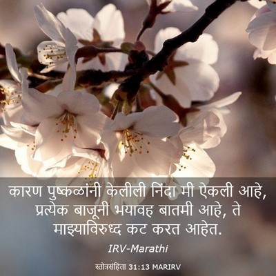 Picture 03 - स्तोत्रसंहिता 31:13 MARIRV - कारण पुष्कळांनी - Bible Verse Picture
