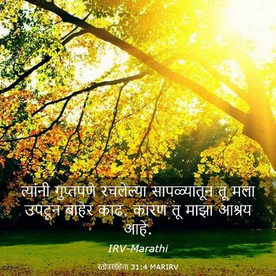 Picture 03 - स्तोत्रसंहिता 31:4 MARIRV - त्यांनी गुप्तपणे - Bible Verse Picture