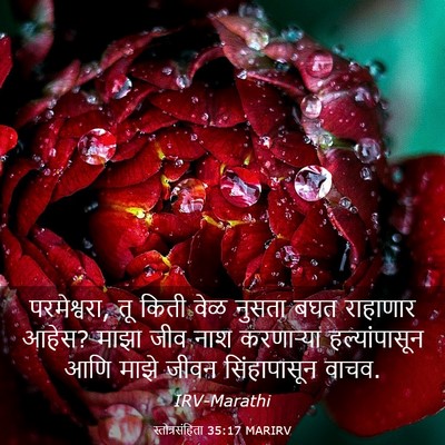 Picture 03 - स्तोत्रसंहिता 35:17 MARIRV - परमेश्वरा, तू किती - Bible Verse Picture
