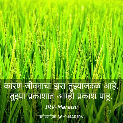 Picture 03 - स्तोत्रसंहिता 36:9 MARIRV - कारण जीवनाचा झरा - Bible Verse Picture