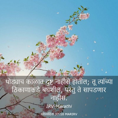 Picture 03 - स्तोत्रसंहिता 37:10 MARIRV - थोड्याच काळात - Bible Verse Picture