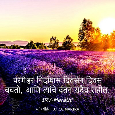 Picture 03 - स्तोत्रसंहिता 37:18 MARIRV - परमेश्वर - Bible Verse Picture