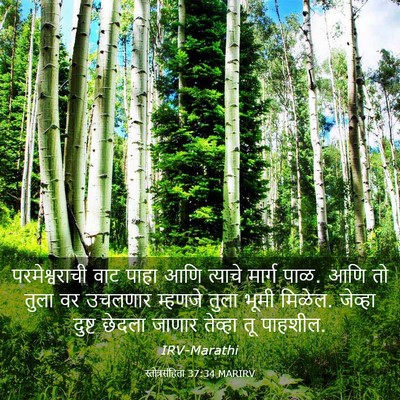 Picture 03 - स्तोत्रसंहिता 37:34 MARIRV - परमेश्वराची वाट - Bible Verse Picture